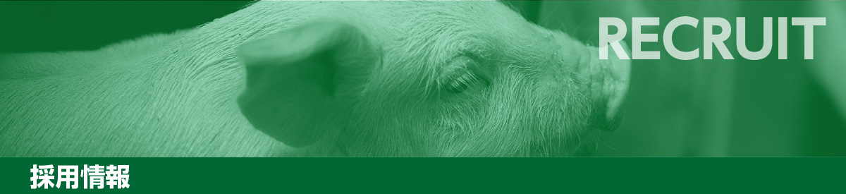 採用情報