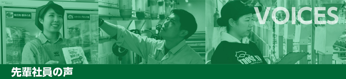 先輩社員の声